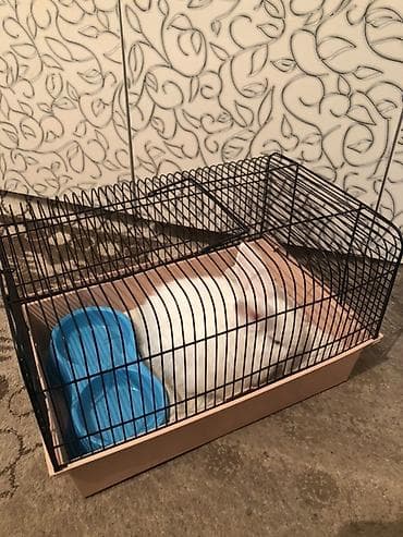 аквариум корпус: Клетка для грызуна/кролика с двойной миской - Просторная клетка с — 3