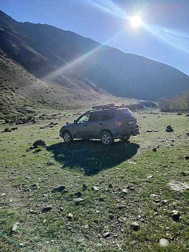 Subaru: Subaru Forester: 2009 г., 2 л, Автомат, Газ, Кроссовер — 2