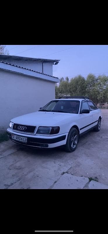 Audi: Audi 100: 1991 г., 2 л, Механика, Бензин, Седан — 1
