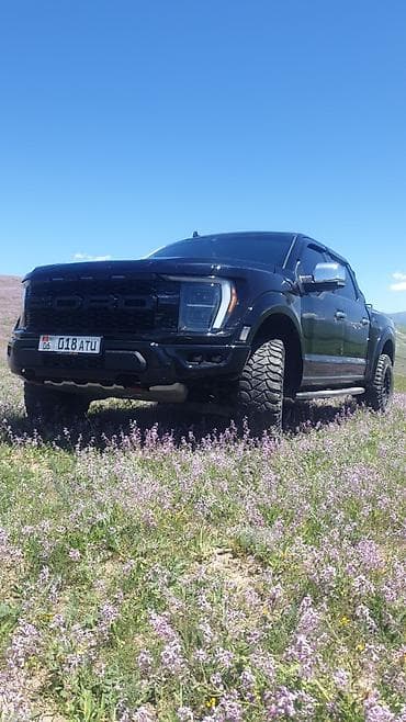 вампер соната: Ford F-150: 2023 г., 3.5 л, Автомат, Бензин, Пикап — 7