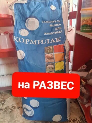 цена пшеницы в бишкеке 2022: Молоко для телят и ягнят! Мешок 25кг 2300с На развес 1кг. 120с — 1