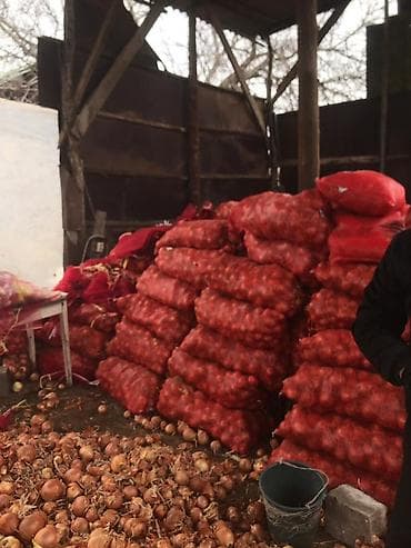 большой офисный стол: Лук Оптом — 2