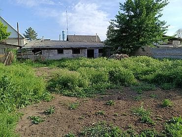 дом на продажу: Дом с хозяйственным двором - Планировка: прихожая, кухня — 7