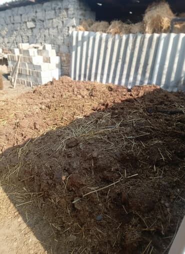 композитный балон: Навоз с подстилкой (солома/сено) для удобрения огородов, садов и — 1