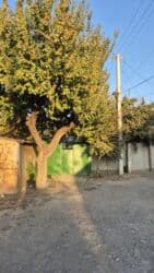 дача в беш кунгее: Дом, 100 м², 3 комнаты, Собственник, Косметический ремонт — 5