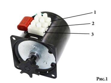 корм для форел: Мотор для инкубатора 220в цепной мотор для сборки самодельных — 3