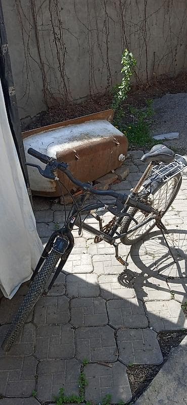 single speed: Горный велосипед с задним багажником - Рама стальная с классической — 2