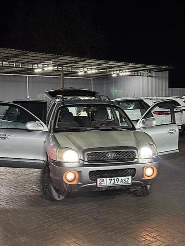 экран саната: Hyundai Santa Fe: 2001 г., Кроссовер — 6