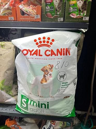 Животные: Сухой корм для собак мелких пород Royal Canin Mini Adult. ‼️‼️1кг — 1