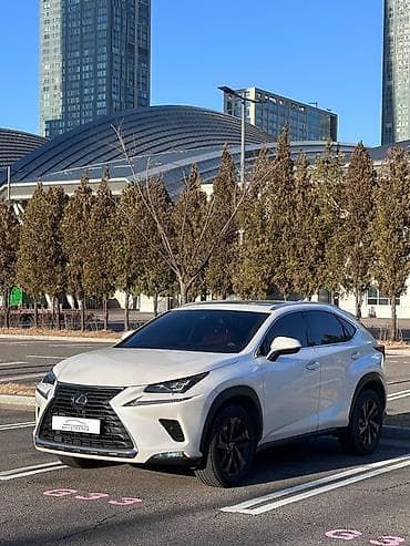 автом: Lexus NX: 2020 г., 2 л, Автомат, Бензин, Кроссовер — 1