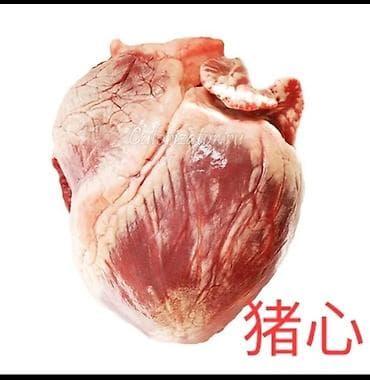 кости: ОсОО ПромАгро на рынке более 10 лет 市场上的质量保证超过10年。 猪肉及肉类. Оптовая — 9