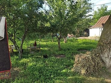 ххх квартира: Срочно Срочно Срочно Продается дом29 соток есть также времянка — 6