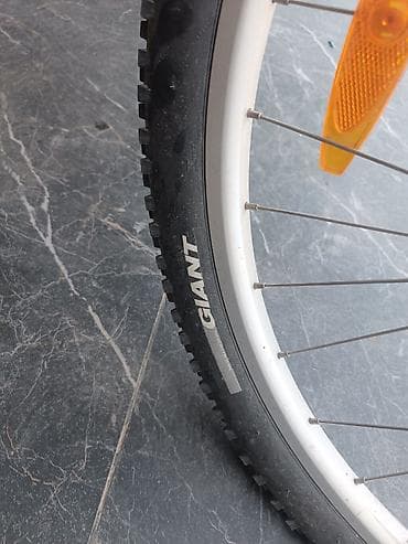 велосипеды giant roam: Горный велосипед, Giant, Рама S (145 - 165 см), Алюминий, Б/у — 5