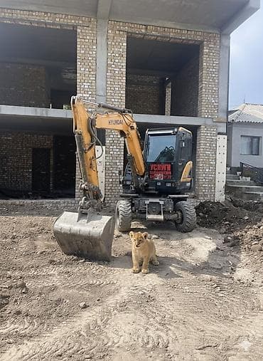 imac m1: Экскаватор | Траншеи — 6