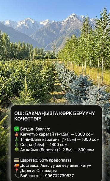 ОШ: БАКЧАҢЫЗГА КӨРК БЕРҮҮЧҮ КОЧӨТТӨР! 🌲🏡​Үйүңүздүн короосун жашыл