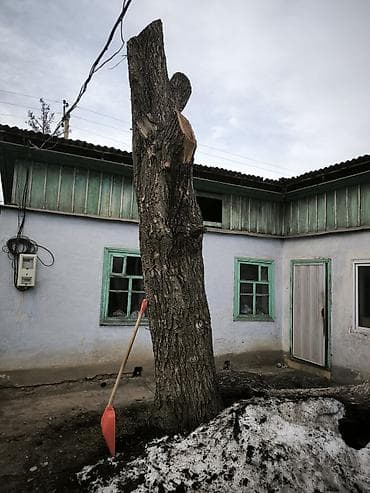 стол и стул детский: Дрова — 2