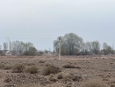 8: 8 соток, Для строительства, Красная книга — 7