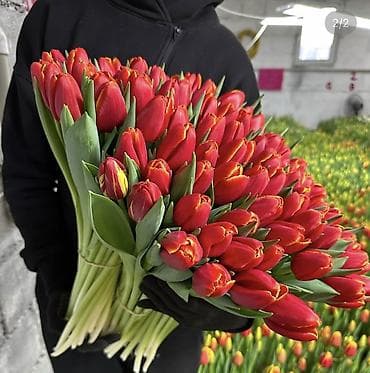 цветы для торжеств: Тюльпаны оптом 🌸Свежесть весны и аромат праздника – ваш секрет — 8