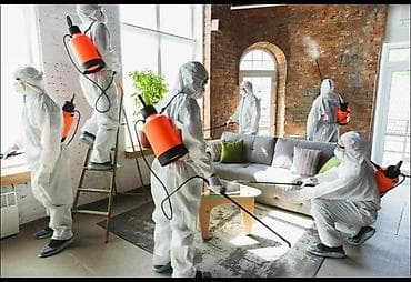 Профессиональная дезинсекция от клопов и тараканов - Комплексная