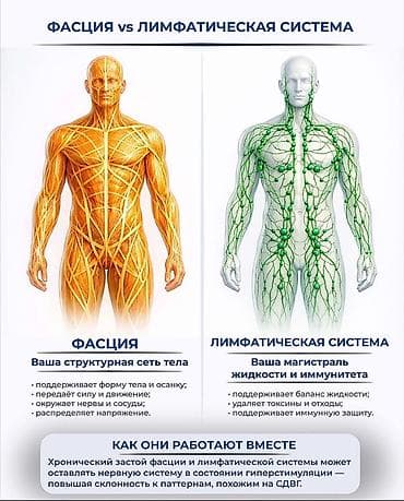 массаж не дорого: Курсы массажа | Классический массаж Выдается сертификат — 6