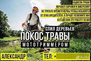 резка дерево: Уборка территории, Стрижка газона — 2