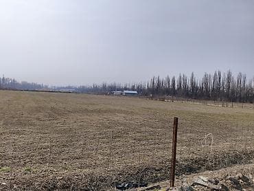 Жер тилкелери: 200 соток, Бизнес үчүн, Башкы ишеним кат — 7