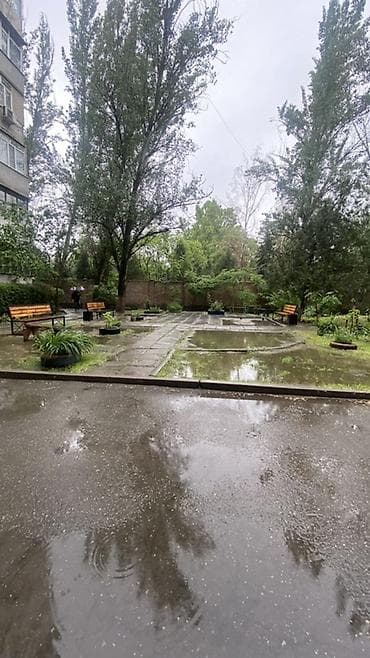 106 серия 3 ком: 3 комнаты, 63 м², 106 серия, 1 этаж, Старый ремонт — 2