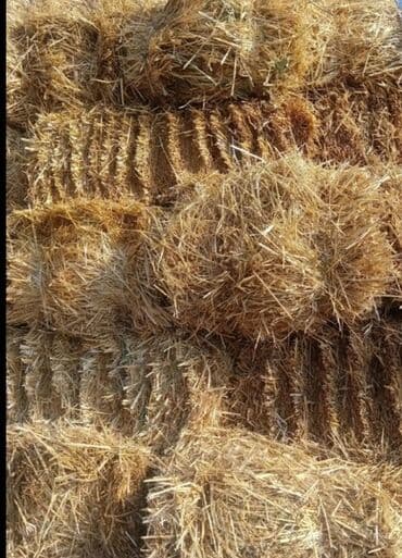 Аквариумдар: Продам солому ячменную 150 шт стоит под навесом сухая не гнилая — 1