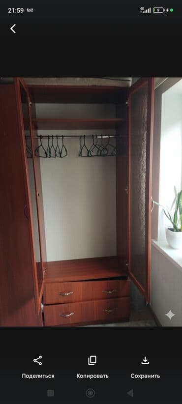 шкаф для вещей с полками: Шкаф для одежды, Б/у, Прямой, ЛДСП — 4