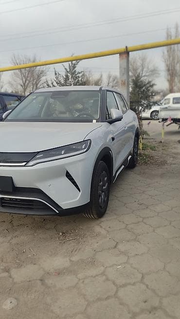 windom 21: BYD : 2025 г., 2.5 л, Автомат, Электромобиль, Кроссовер — 5