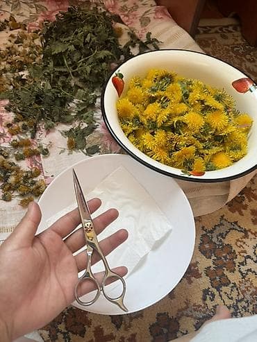 музыка ветра: Свежие цветы одуванчика — очищенные лепестки для домашней кухни и — 3