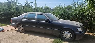гидро силиндр: Mercedes-Benz S-Class: 1992 г., 5 л, Автомат, Газ, Седан — 1
