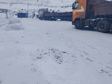 бетоно миксер: Тягач, DAF, 2002 г., Самосвал — 5