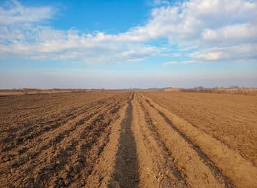 аренда домов посуточно: 485 соток, Для сельского хозяйства — 1