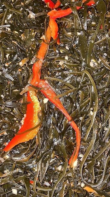 Мёд: Ассорти корейских салатов — свежеприготовленные закуски по — 2