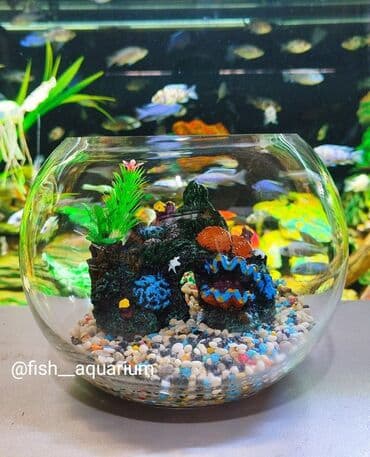 аквариумная рыбка: Круглый аквариум 3 литра с дизайном. Прекрасен на подарок детям, в — 2