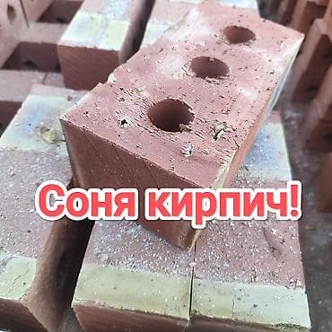 полублок: Пустотелый, дырчатый, Жженый кирпич, Полублок, 250×120×90 — 1