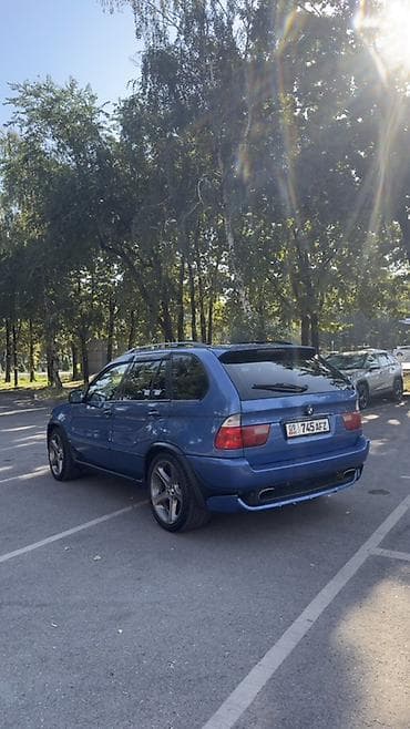 BMW X5: 2003 г., 4.4 л, Автомат, Бензин, Внедорожник — 5