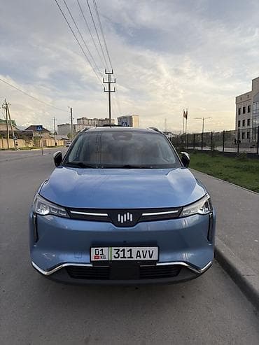 byd plus: Weltmeister W6, 2022 г., 102000 км — 2