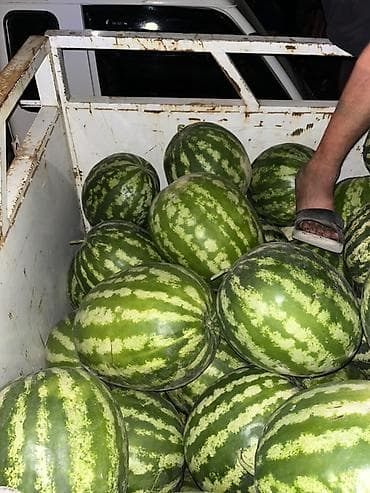 Мөмө-жемиштер: Дарбыздар Дүң — 2