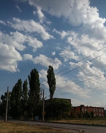 3 соток, Для строительства, Красная книга — 4