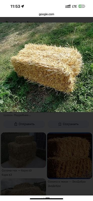 С/х животные и товары: Тюки соломы 
Панфиловский районсело Панфиловское — 2