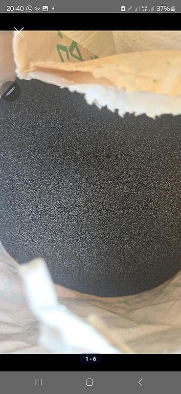 косим кукурузу: Семена люцерны!!! 
Сорт: Багира 
Есть гарантии на семена — 4