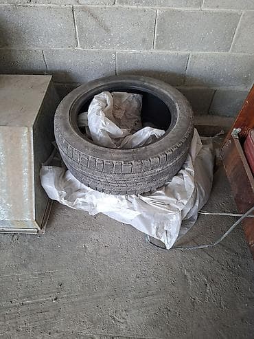Шиналар 225 / 50 / R 17, Кыш, 1 даана, Жеңил унаалар, Жапония, Bridgestone — 1