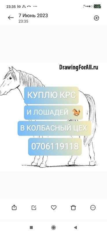 Куплю | Коровы, быки, Лошади, кони, Другие с/х животные | Круглосуточно, Любое состояние, Забитый