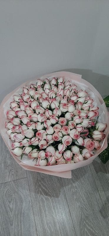 розы белые: Букет из роз «Пинк Эдж» — 101 бутон. - Состав: 101 роза кремово-белого — 1