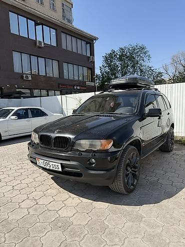 BMW X5: 2003 г., 3 л, Автомат, Бензин, Кроссовер — 2
