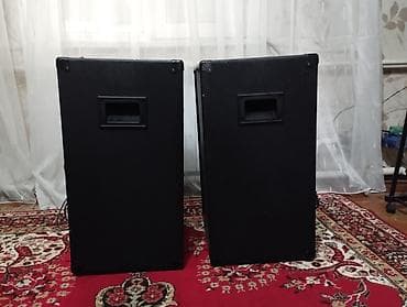 technics sb: Продаю широкополосные активные колонки Yerasov A-110R производства — 3