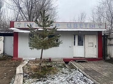 прибыльный цветочный бизнес: Продажа бизнеса Торговый контейнер, Цветы, Вместе с: Оборудование и мебель — 1