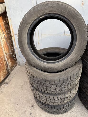 шины мини трактор: Шины 205 / 55 / R 16, Зима, Dunlop — 3